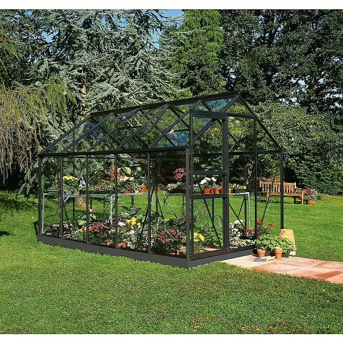 Halls Gewächshaus Popular - Außenmaß inkl. Dachüberstand (B x T): 193 x 319 cm, Einscheibensicherheitsglas, 3 mm, Schwarz - Gewächshaus im Garten. Das Gewächshaus ist aus Glas und schwarzem Metall gefertigt und mit Pflanzen bepflanzt.