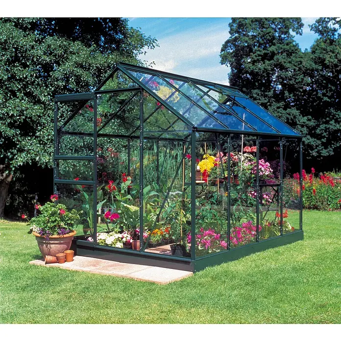 Halls Gewächshaus Popular 86 - Außenmaß inkl. Dachüberstand (B x T): 193 x 257 cm, Einscheibensicherheitsglas, 3 mm, Grün - Ein geräumiges Gewächshaus aus Glas und Metall steht im Garten, gefüllt mit blühenden Pflanzen und bereit für die Gartenarbeit.