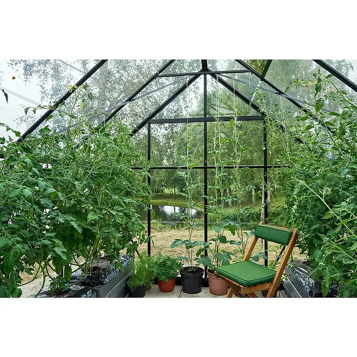 Halls Gewächshaus Universal 128 - Außenmaß inkl. Dachüberstand (B x T): 257 x 384 cm, Material Seitenwand: Glas, Schwarz, Inkl. Fundamentrahmen - Ein gemütliches Gewächshaus mit üppigen Pflanzen und einem einladenden Holzstuhl mit grünem Kissen, perfekt zum Entspannen inmitten der Natur.