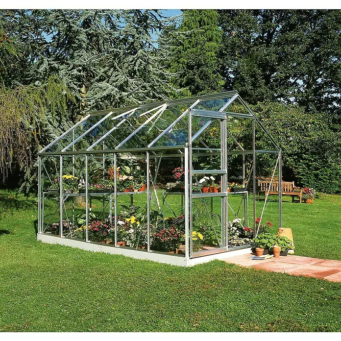Halls Gewächshaus Popular 106 - Außenmaß inkl. Dachüberstand (B x T): 193 x 319 cm, Einscheibensicherheitsglas, 3 mm, Aluminium - Gewächshaus aus Glas mit Pflanzen auf mehreren Regalen in einem Garten. Das Gewächshaus bietet ideale Bedingungen für Pflanzenwachstum.