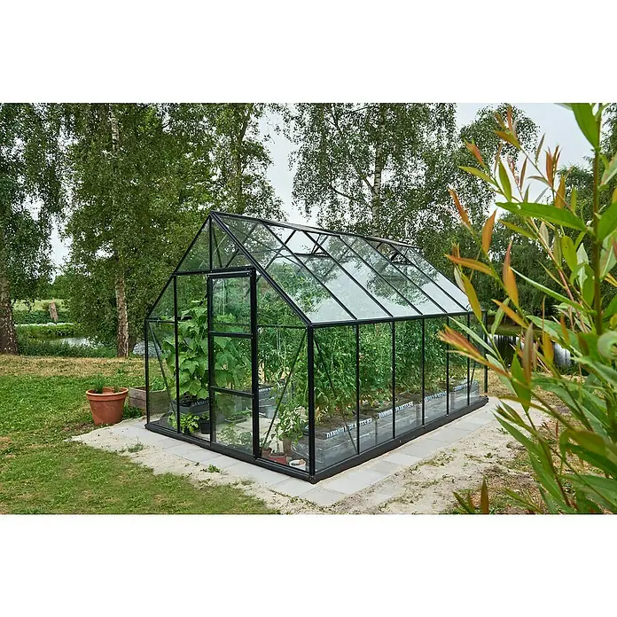 Halls Gewächshaus Universal 128Außenmaß inkl. Dachüberstand (B x T): 257 x 384 cm, Einscheibensicherheitsglas, 3 mm, Schwarz - Gewächshaus mit Pflanzen und Glaswänden. Ein Gartenhaus für Gemüse, mit einem schwarzen Rahmen und einer Tür.