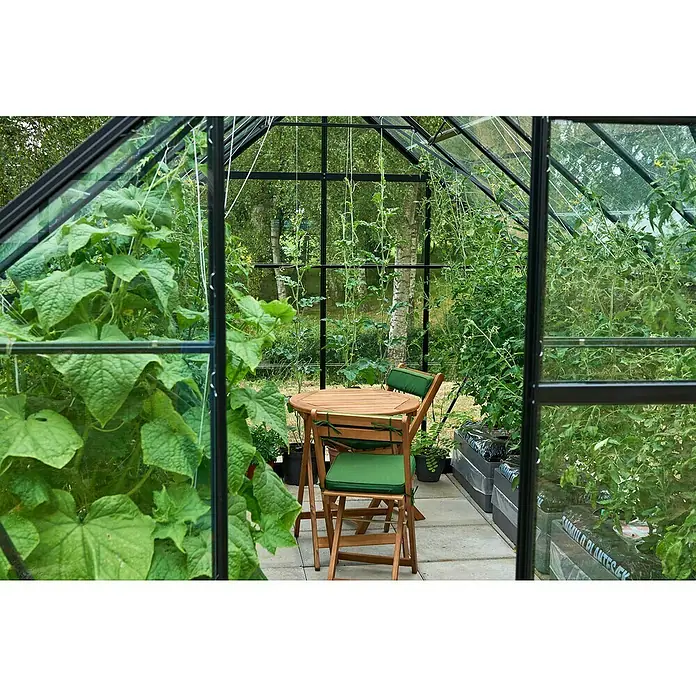 Halls Gewächshaus Universal 128 - Außenmaß inkl. Dachüberstand (B x T): 257 x 384 cm, Material Seitenwand: Glas, Schwarz, Inkl. Fundamentrahmen - Idyllisches Gewächshaus mit üppigen Pflanzen und einem einladenden Sitzbereich, perfekt zum Entspannen inmitten der Natur.
