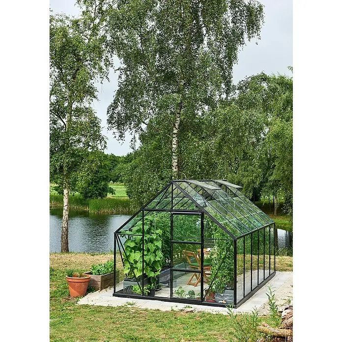 Halls Gewächshaus Universal 128 - Außenmaß inkl. Dachüberstand (B x T): 257 x 384 cm, Material Seitenwand: Glas, Schwarz, Inkl. Fundamentrahmen - Das Bild zeigt ein Gewächshaus mit Pflanzen darin und Bäumen um das Haus herum.
