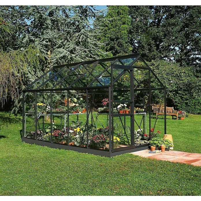 Halls Gewächshaus Popular 106Außenmaß inkl. Dachüberstand (B x T): 193 x 319 cm, Blankglas, 3 mm, Schwarz - Gewächshaus mit Pflanzen im Garten. Das Gewächshaus hat eine stabile Rahmenkonstruktion und bietet ausreichend Platz für die Pflanzenzucht.