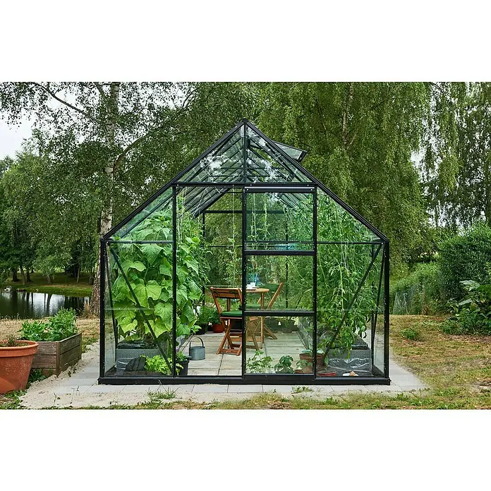 Halls Gewächshaus Universal 128 - Außenmaß inkl. Dachüberstand (B x T): 257 x 384 cm, Material Seitenwand: Glas, Schwarz, Inkl. Fundamentrahmen - Das Gewächshaus ist mit üppigen Pflanzen gefüllt, darunter Gurken und Tomaten, und bietet einen entspannenden Essbereich.