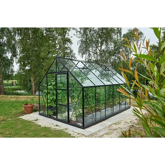 Halls Gewächshaus Universal 128 - Außenmaß inkl. Dachüberstand (B x T): 257 x 384 cm, Material Seitenwand: Glas, Schwarz, Inkl. Fundamentrahmen - Ein Gewächshaus mit Pflanzen darin, umgeben von Bäumen. Das Gewächshaus ist aus Glas und hat einen schwarzen Rahmen.