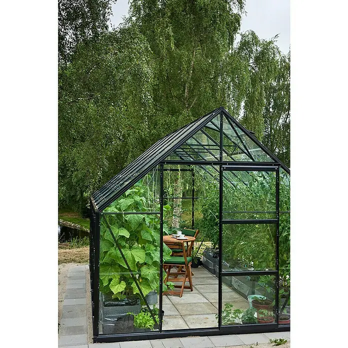 Halls Gewächshaus Universal 128 - Außenmaß inkl. Dachüberstand (B x T): 257 x 384 cm, Material Seitenwand: Glas, Schwarz, Inkl. Fundamentrahmen - Ein Gewächshaus mit dunklem Rahmen voller Pflanzen, darunter Gurken und Tomaten, und einem Tisch mit Stühlen für eine gemütliche Pause.
