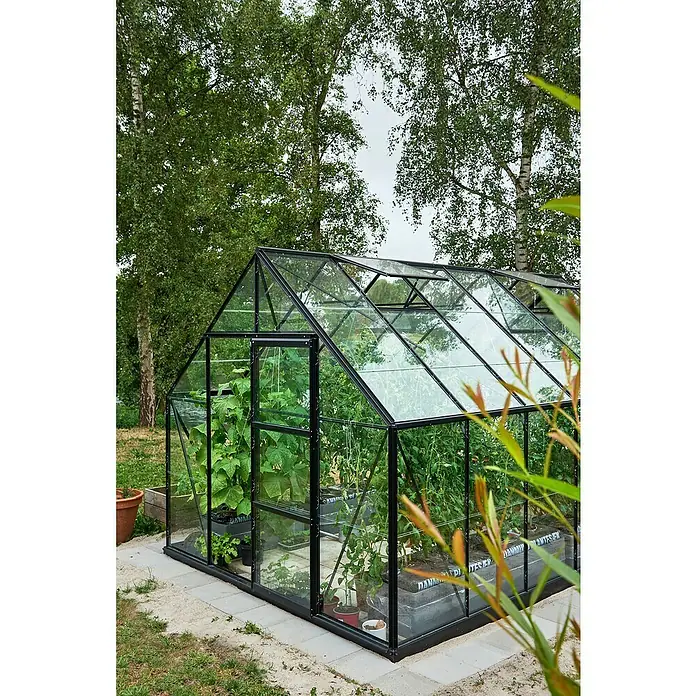 Halls Gewächshaus Universal 128 - Außenmaß inkl. Dachüberstand (B x T): 257 x 384 cm, Material Seitenwand: Glas, Schwarz, Inkl. Fundamentrahmen - Ein Gewächshaus mit schwarzem Rahmen und Glasplatten, in dem verschiedene Pflanzen angebaut werden. Ideal für den Garten.