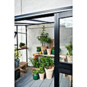 Juliana Gewächshaus Veranda (2,96 x 2,21 x 2,45 m, Sicherheitsglas, Glasstärke: 3 mm, Silber)