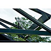 Juliana Gewächshaus Premium (4,39 x 2,96 x 2,67 m, Sicherheitsglas, Glasstärke: 3 mm, Anthrazit/Schwarz)
