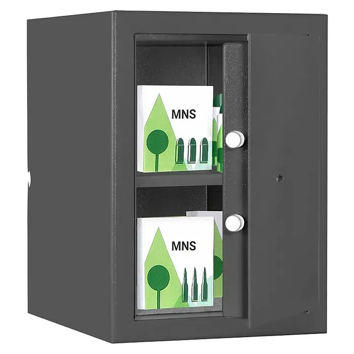 Format Munitionsschrank MNS 210 - Doppelbart-Hochsicherheitsschloss, L x B x H: 380 x 300 x 420 mm - Grauer Tresor mit offenem Fach, in dem sich weiße Schachteln mit grüner Illustration und dem Text "MNS" befinden.