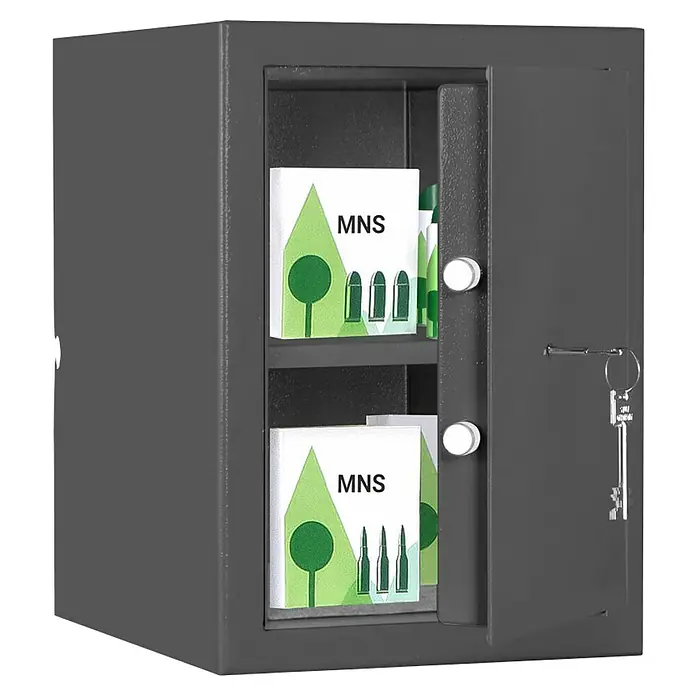 Format Munitionsschrank MNS 210 - Doppelbart-Hochsicherheitsschloss, L x B x H: 380 x 300 x 420 mm - Grauer Tresor mit offenem Fach, das zwei Bücher mit Baum- und Munitionsillustrationen und dem Aufdruck MNS enthält.