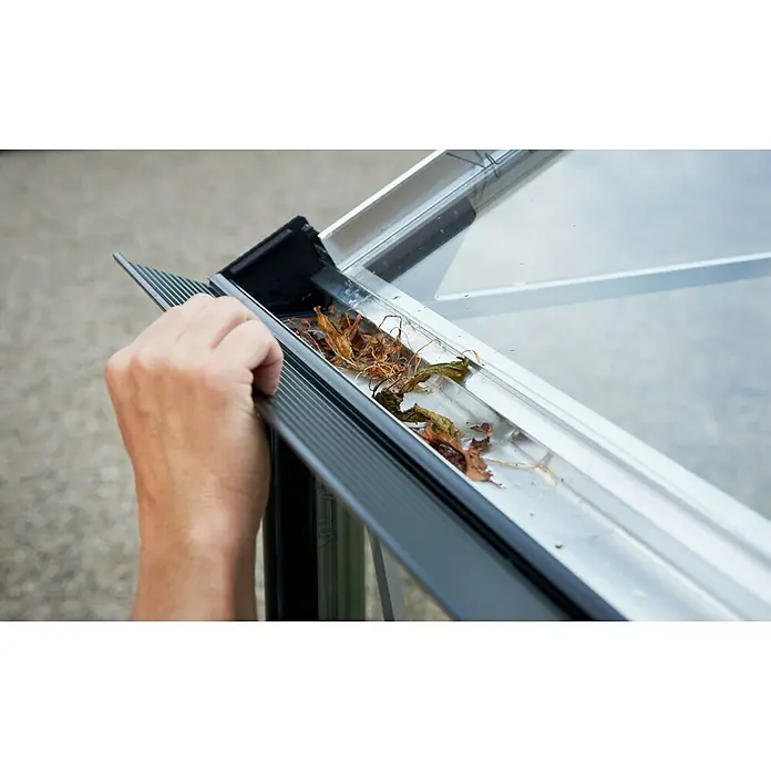 Juliana Gewächshaus Gärtner - Außenmaß inkl. Dachüberstand (B x T): 368 x 439 cm, Material Seitenwand: Kunststoff, 10 mm, Silber/Schwarz - Das Bild zeigt die Reinigung der Dachrinnen eines Gewächshauses, wo man trockenes Laub entfernt, um die Funktion der Entwässerung zu gewährleisten.