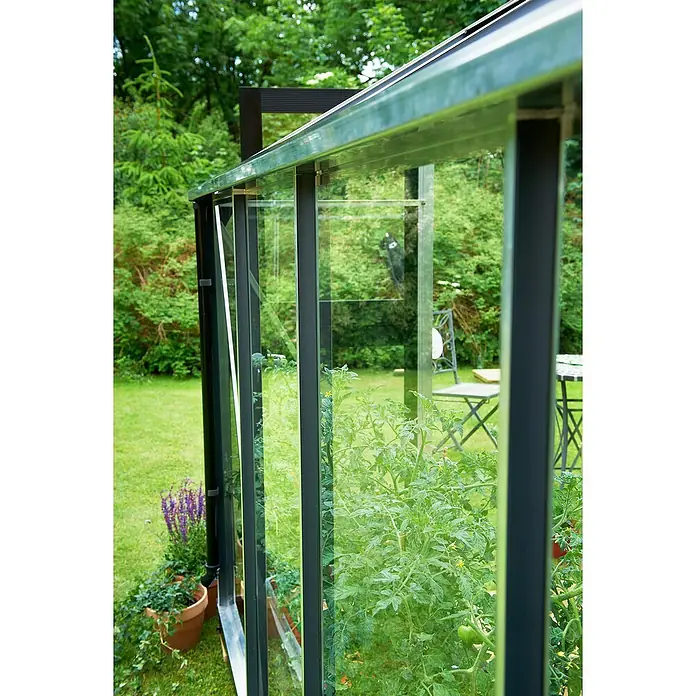 Juliana Gewächshaus Gärtner - Außenmaß inkl. Dachüberstand (B x T): 368 x 439 cm, Material Seitenwand: Glas, 3 mm, Silber/Schwarz - Nahaufnahme eines Gewächshauses mit Pflanzen im Inneren und einem Tisch und Stühlen im Garten dahinter.