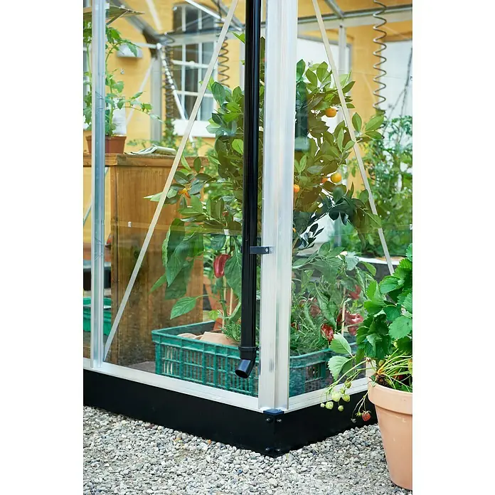Juliana Gewächshaus Gärtner - Außenmaß inkl. Dachüberstand (B x T): 368 x 583 cm, Material Seitenwand: Kunststoff, 10 mm, Silber/Schwarz - Eine Nahaufnahme eines Gewächshauses mit Pflanzen wie Tomaten und Erdbeeren, das auf einem Kiesweg steht.
