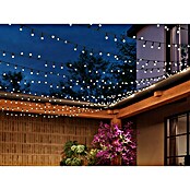 Philips Hue Smart-LED-Lichterkette Festavia (Außen, 24,4 m, Lichtfarbe: RGBW, Anzahl Leuchtmittel: 250 Stk., Netzbetrieben) | BAUHAUS