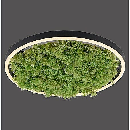 Just Light LED-Deckenleuchte rund GREEN RITUS (23,5 W, Ø x H: 39,3 x 5,3 cm, Moos, Warmweiß)