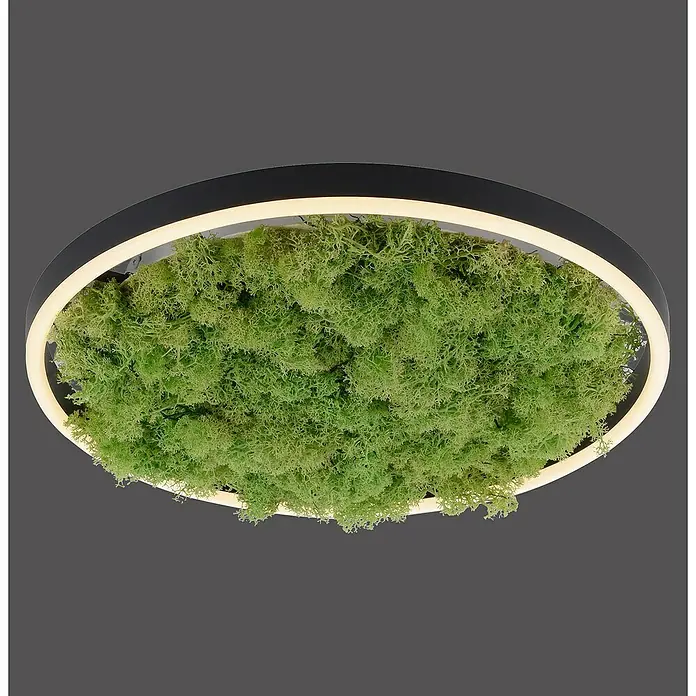 Just Light LED-Deckenleuchte rund GREEN RITUS - 23,5 W, Ø x H: 39,3 x 5,3 cm, Moos, Warmweiß - Runde Deckenleuchte mit Moosfüllung und LED-Beleuchtung für ein natürliches Ambiente.