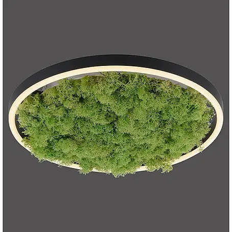 Just Light  LED-Deckenleuchte rund GREEN RITUS