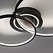 Just Light LED-Deckenleuchte ASMINA (30 W, L x B x H: 69 x 55 x 9 cm, Schwarz, Warmweiß) | BAUHAUS