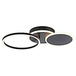 Just Light Plafón LED (29 W, L x An x Al: 50 x 33,4 x 8,2 cm, Negro, Blanco cálido)