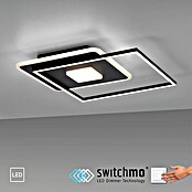 Just Light LED-Deckenleuchte DOMINO (30 W, L x B x H: 45 x 45 x 6,5 cm, Schwarz, Warmweiß) | BAUHAUS