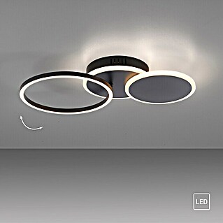 LeuchtenDirekt LED-Deckenleuchte SEVENT (29 W, L x B x H: 50 x 33,4 x 8,2 cm, Schwarz, Warmweiß)