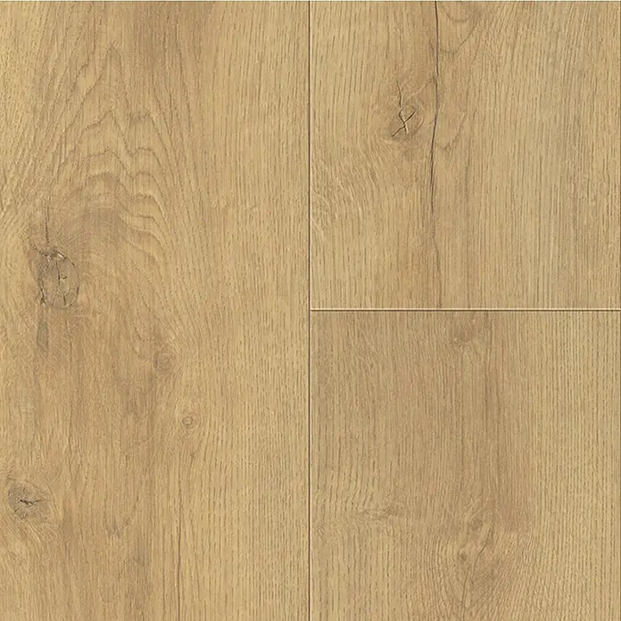 Living by Haro Laminatmuster Sonderedition Eiche Scarpa natur - 290 x 193 x 7 mm, Landhausdiele - Nahaufnahme von vier Paneelen Eichenlaminatbodenbelag, der die natürliche Maserung und Textur des Holzes zeigt.