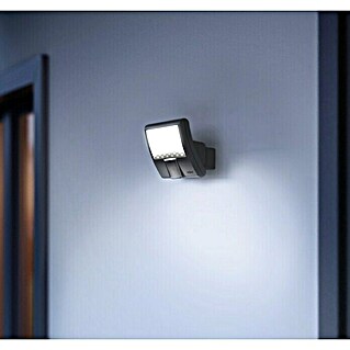 Steinel Sensor-LED-Strahler XLED home Curved S anthrazit (Anthrazit, Warmweiß)