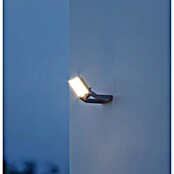Steinel Proyector de LED (L x An x Al: 195 x 229 x 173 mm, Blanco cálido, 23 W, Antracita)