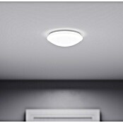 Steinel Stropna LED svjetiljka sa senzorom RS 16 (9,5 W, Boja: Bijelo, Ø x V: 27,5 x 9,5 cm)