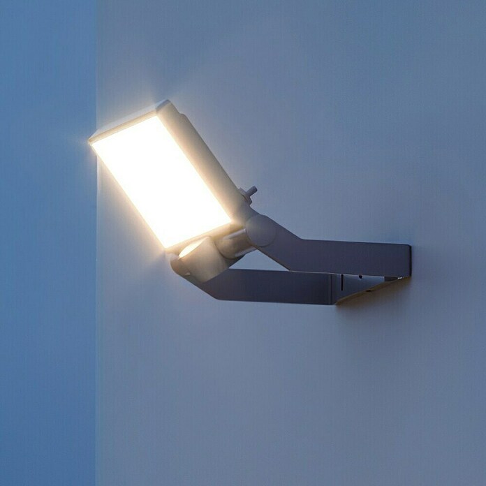Steinel Proyector de LED (L x An x Al: 195 x 229 x 173 mm, Blanco cálido, 23 W, Antracita)