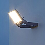 Steinel Proyector de LED (L x An x Al: 195 x 229 x 173 mm, Blanco cálido, 23 W, Antracita)