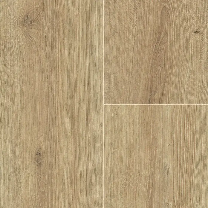 Living by Haro Laminat Sonderedition - Eiche Olbia, Landhausdiele, 1.282 x 193 x 7 mm - Nahaufnahme von Laminatboden in hellem Holzdesign, perfekt für moderne Wohnräume mit seiner warmen Ausstrahlung.