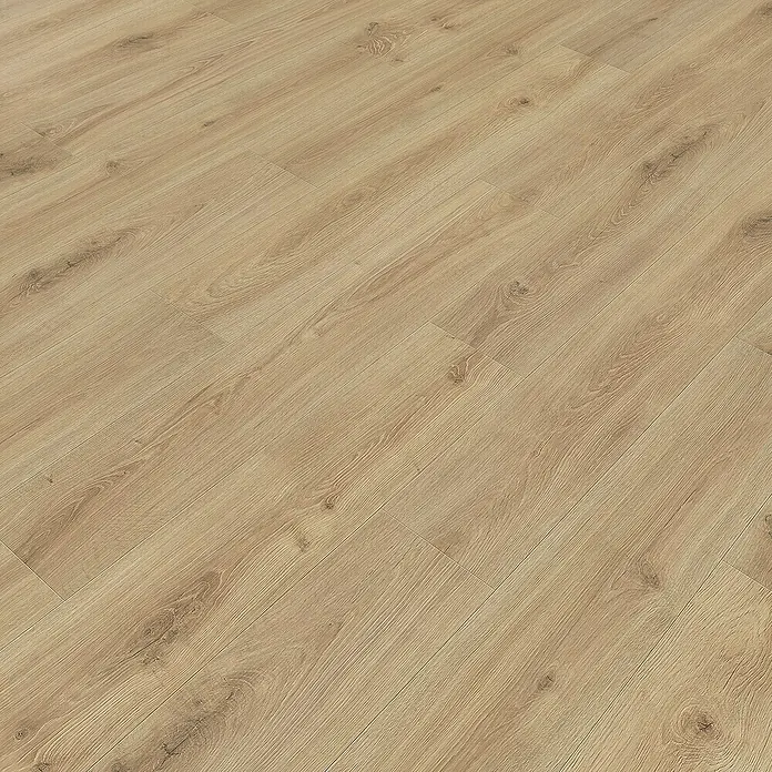 Living by Haro Laminat Sonderedition - Eiche Olbia, Landhausdiele, 1.282 x 193 x 7 mm - Nahaufnahme von hellem Laminatboden, der die Holzstruktur und die Paneelübergänge deutlich zeigt. Ideal für modernes Wohnambiente.