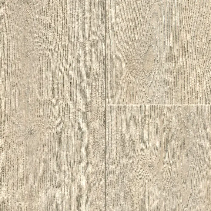 Living by Haro Laminatmuster Gigante Eiche Toronto steingrau - 200 x 243 x 8 mm, Landhausdiele - Helles Holzparkett mit feiner Maserung und warmer Farbgebung, ideal für moderne Wohnräume. Es bietet ein stilvolles und natürliches Ambiente.