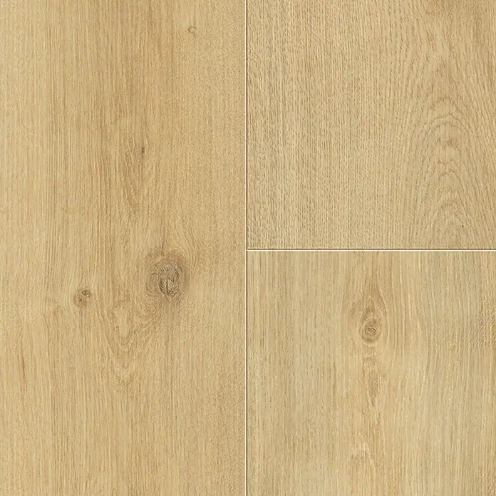 Living by Haro Laminat Sonderedition - Eiche Siena puro, Landhausdiele, 1.282 x 193 x 7 mm - Detailaufnahme von drei hellen, modernen Holzbodenpaneelen mit sichtbarer Maserung und Astlöchern.
