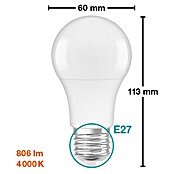 Osram LED svjetiljka (8 W, E27, Hladna bijela, Mat)