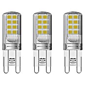 Osram LED-Lampe Pin G9 (G9, Nicht Dimmbar, Warmweiß, 320 lm, 2,6 W) | BAUHAUS