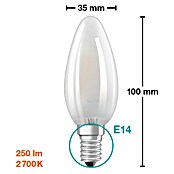 Osram Star LED svjetiljka