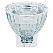 Osram Star Bombilla LED (GU4, No regulable, Blanco cálido, 345 lm, 3,5 W) | BAUHAUS