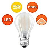 Osram Star LED svjetiljka