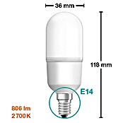 Osram Star Bombilla LED Stick (E14, No regulable, Blanco cálido, 806 lm, 8 W) | BAUHAUS