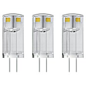 Osram Star LED-Lampen Set Pin G4 MR16 (G4, Nicht Dimmbar, Warmweiß, 100 lm, 0,9 W, 3 Stk.) | BAUHAUS