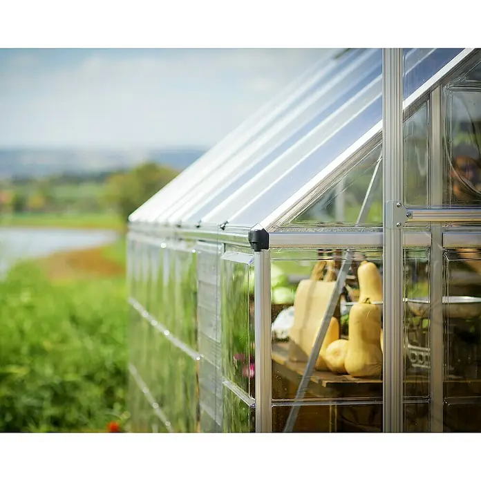 Palram – Canopia Invernadero Balance - Medidas ext. (An x Pr): 304 x 964 cm, 0,7 mm, Plateado - Primer plano de un invernadero con calabazas y verduras en mesas de madera, sobre un fondo de exuberante vegetación y un lago.