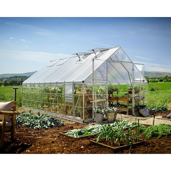 Palram – Canopia Invernadero Balance - Medidas ext. (An x Pr): 304 x 604 cm, 0,7 mm, Plateado - Gran invernadero con plantas dentro y alrededor del invernadero, en un día soleado con cielo azul.