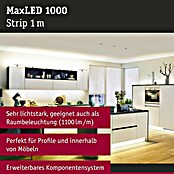 Paulmann LED-Band MaxLED 1000 (1 m, Warmweiß, 13,5 W)