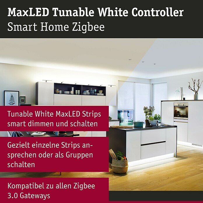 Paulmann Smart Home ZigBee Tunable White Controller MaxLED (144 W, Kunststoff)