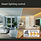 Paulmann Smart Home ZigBee Dimm- & Schaltcontroller MaxLED (144 W, Kunststoff)
