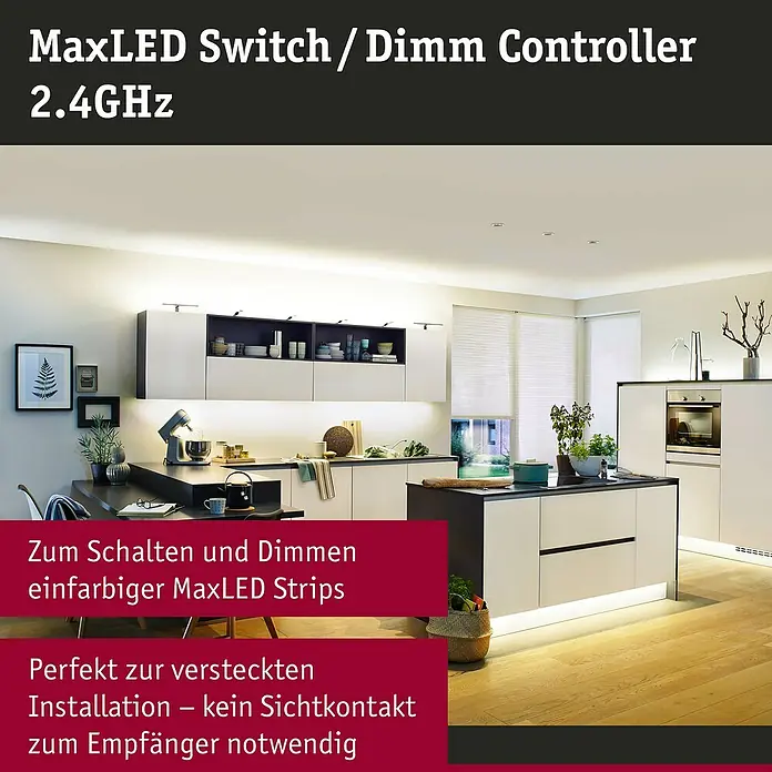 Paulmann MaxLED Dimmcontroller - Kunststoff - MaxLED Switch/Dimm Controller: Steuerung und Dimmer für einfarbige MaxLED Strips, ideal für versteckte Installationen ohne Sichtkontakt.